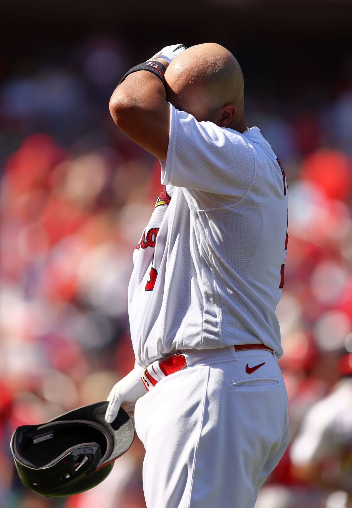 Cincinnati Reds vs St. Louis Cardinals